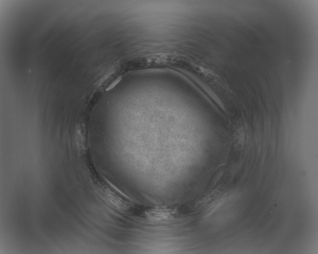 X0000062610661200601040940