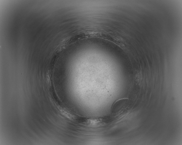 X0000062610662200601040940