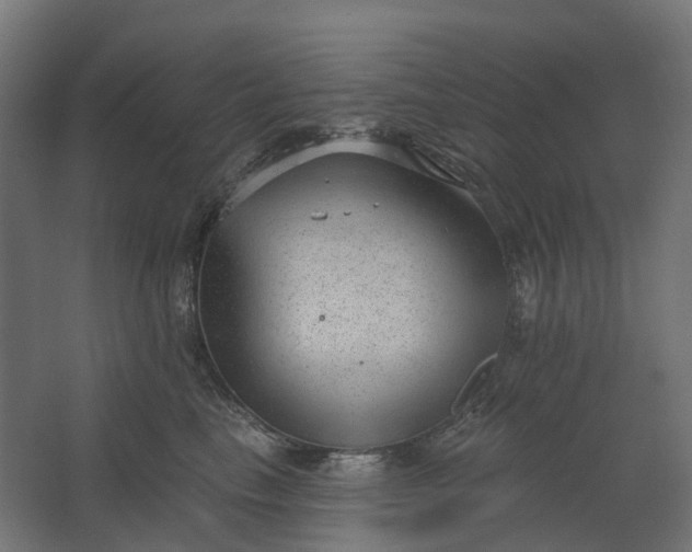 X0000062610665200601040940