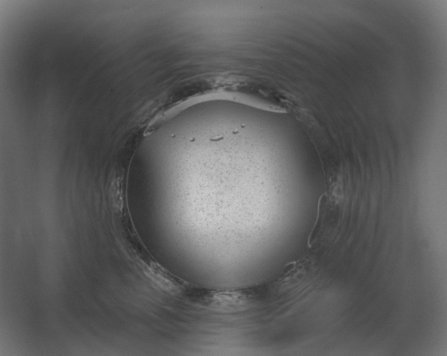 X0000062610666200601040940