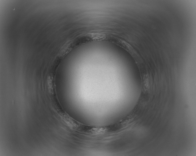 X0000062610667200601040940