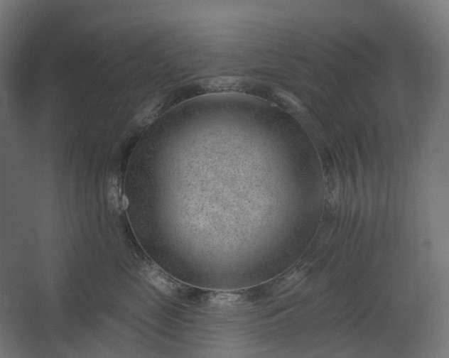 X0000062610669200601040941