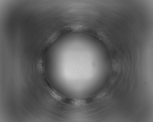 X0000062610670200601040941