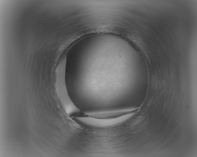 X0000062610673200601040940