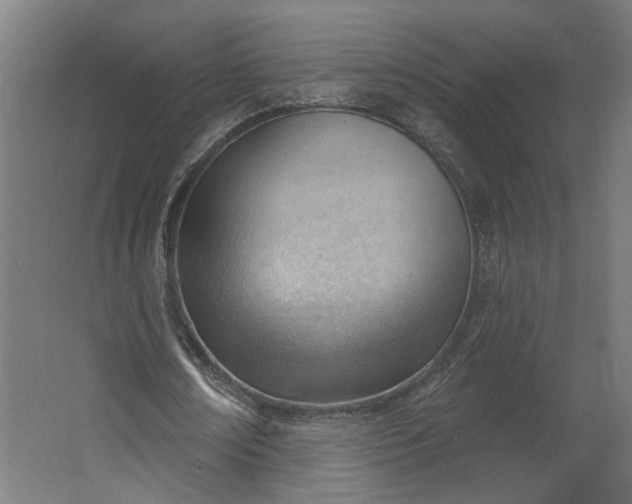 X0000062610674200601040940