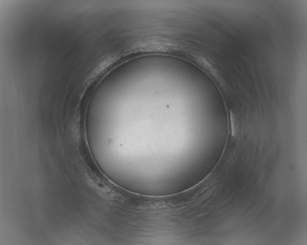 X0000062610675200601040940