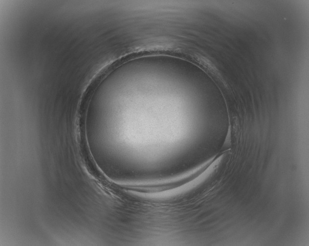 X0000062610676200601040940