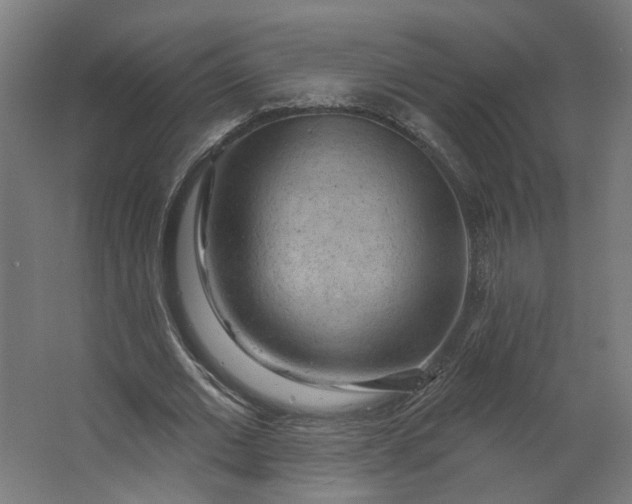 X0000062610677200601040940