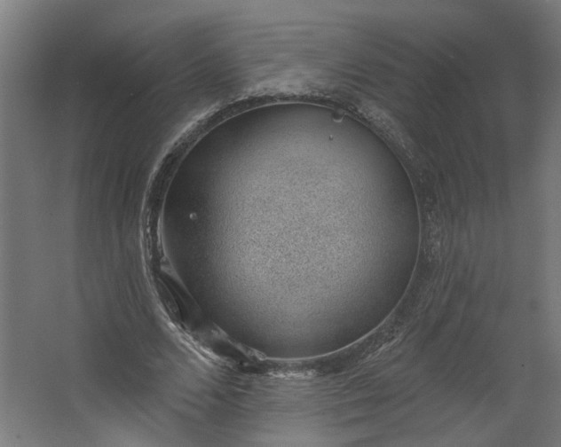 X0000062610680200601040940