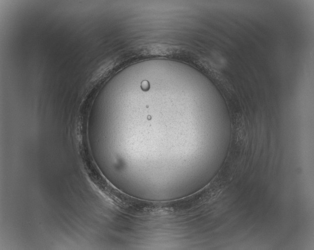 X0000062610683200601040940