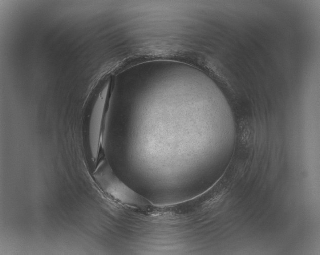 X0000062610685200601040940