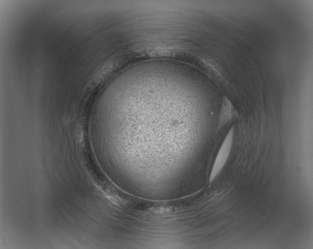 X0000062610687200601040940