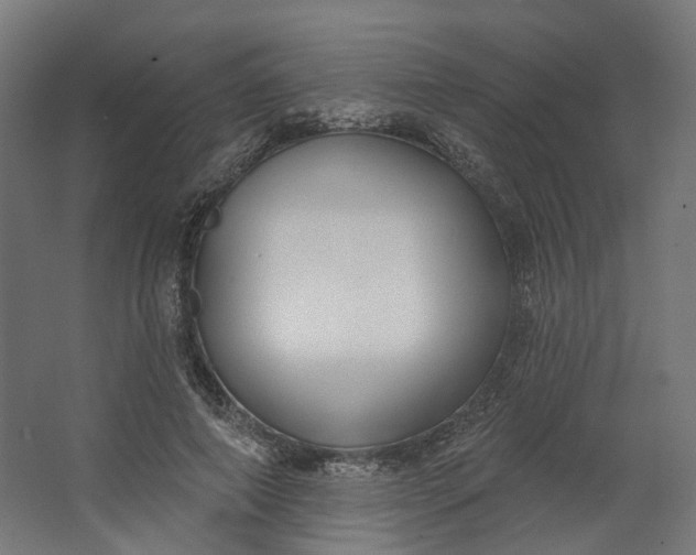 X0000062610690200601040939