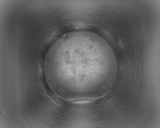 X0000062610691200601040939