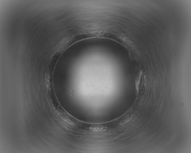 X0000062610693200601040939