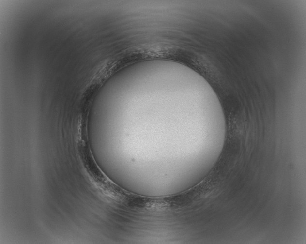 X0000062610694200601040939