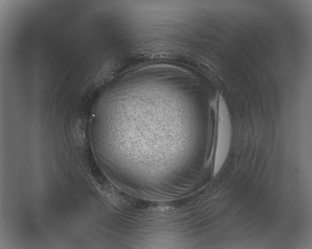 X0000062610695200601040939