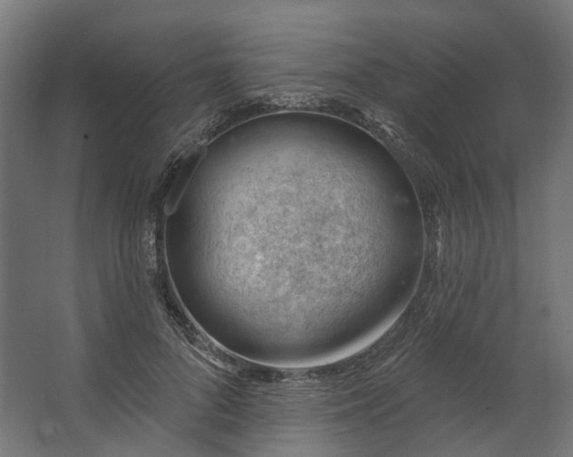 X0000062610696200601040939