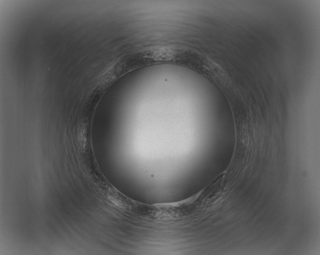 X0000062610697200601040939