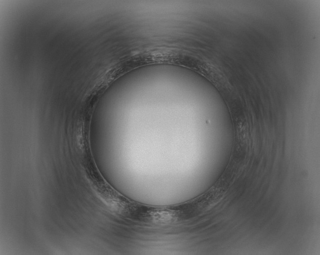 X0000062610698200601040939