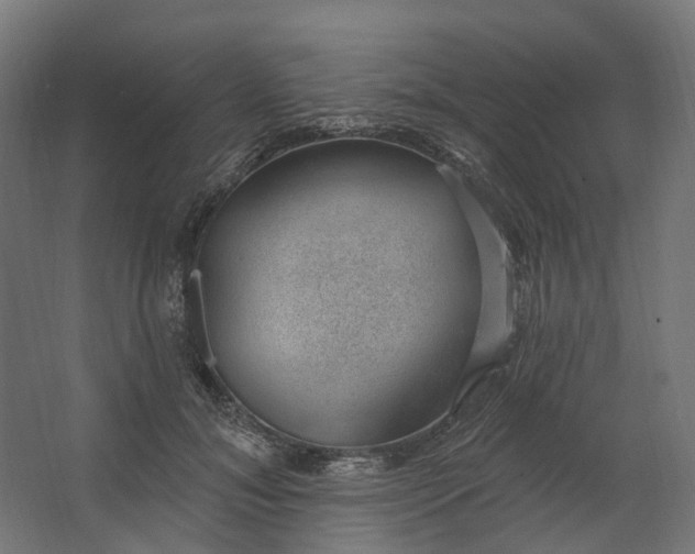 X0000062610700200601040939