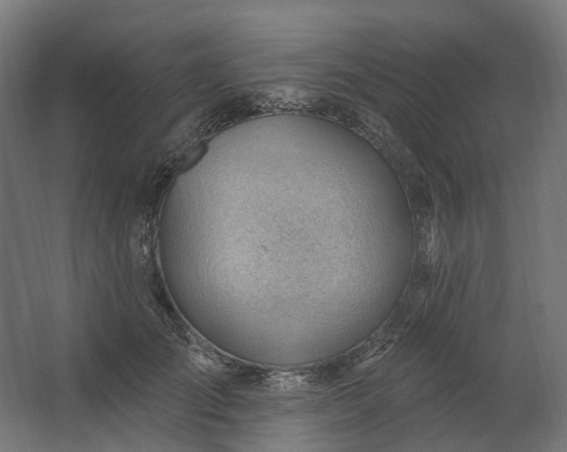 X0000062610701200601040939