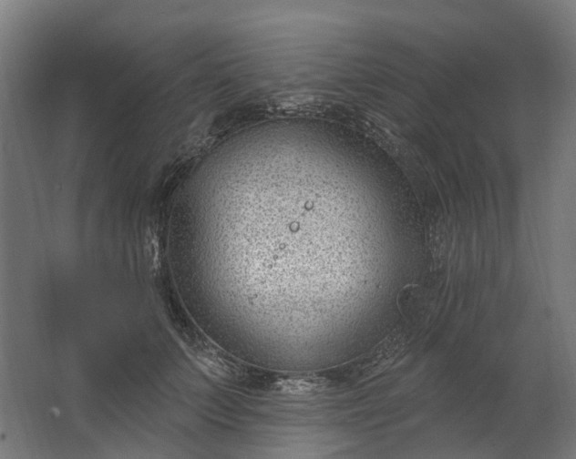 X0000062610703200601040939