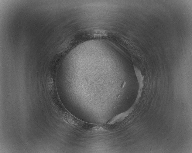 X0000062610704200601040939