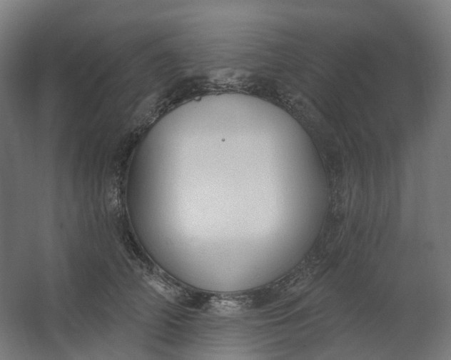 X0000062610706200601040939