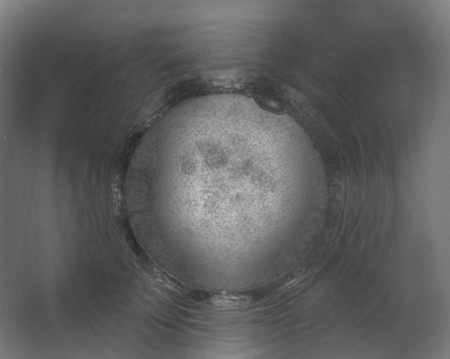 X0000062610707200601040939