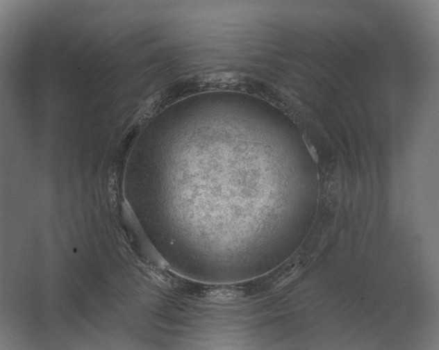 X0000062610708200601040939