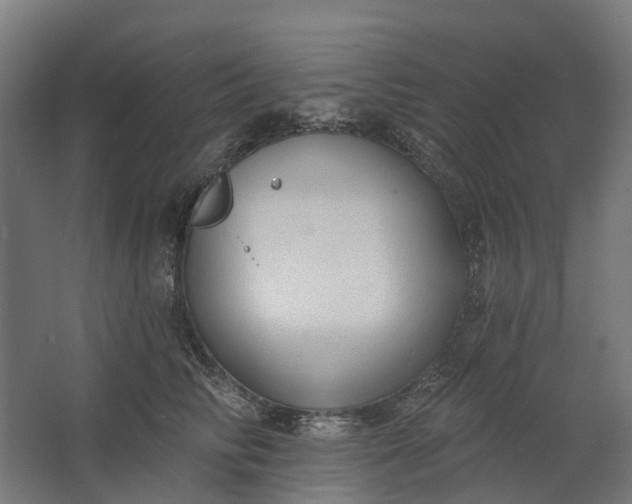 X0000062610710200601040939