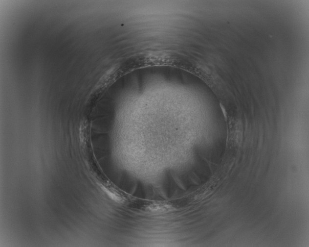 X0000062610712200601040939