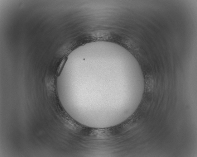 X0000062610713200601040939