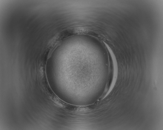 X0000062610716200601040939