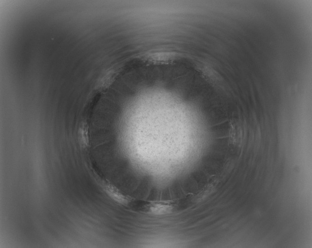 X0000062610718200601040939