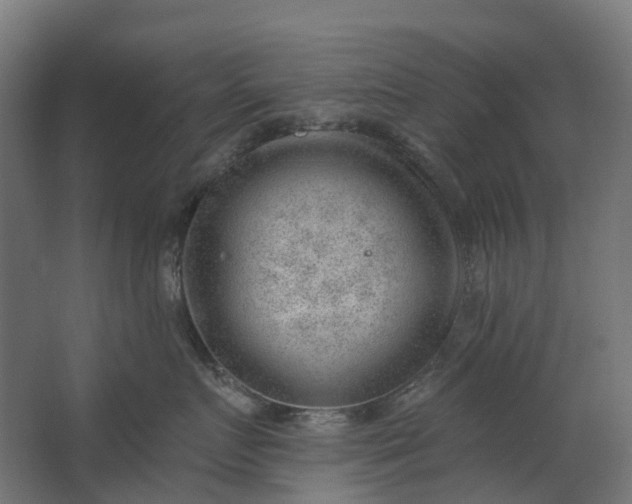 X0000062610719200601040939