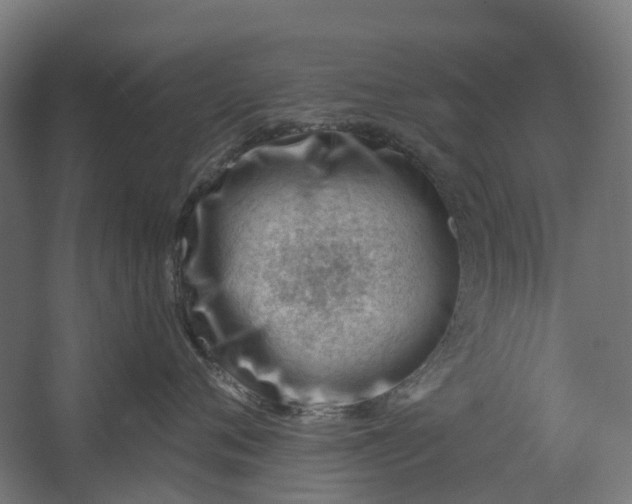 X0000062610720200601040939