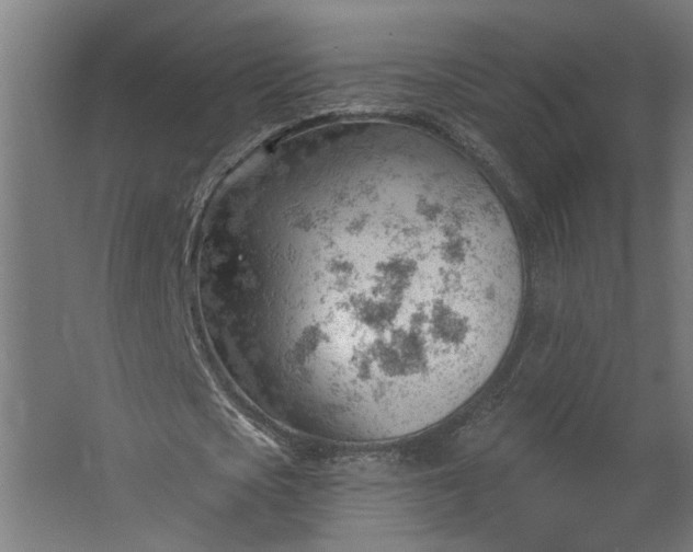 X0000062610721200601040938