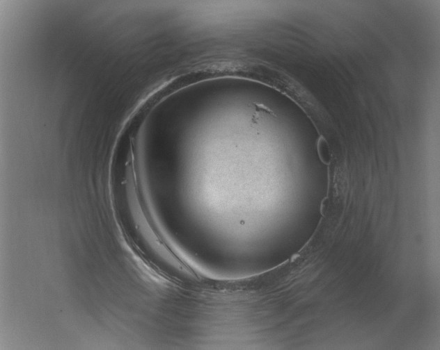 X0000062610722200601040938