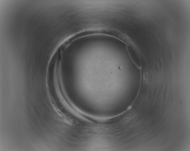 X0000062610724200601040938