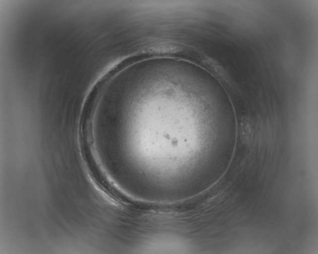 X0000062610726200601040938