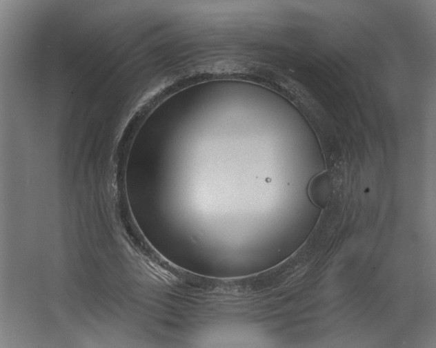 X0000062610727200601040938