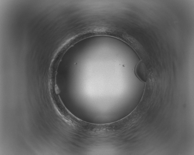 X0000062610728200601040938