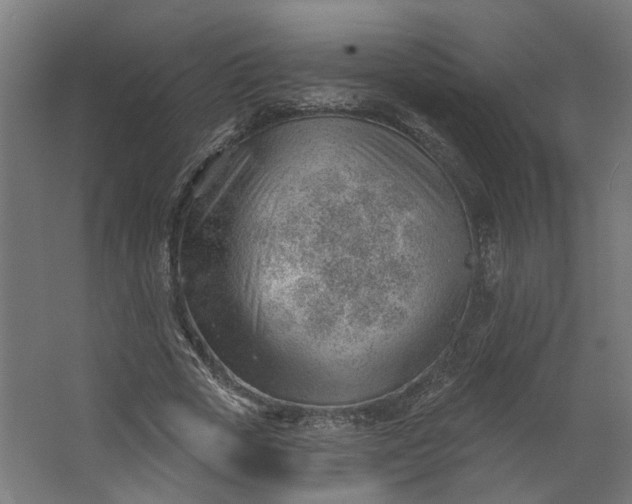 X0000062610729200601040938