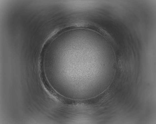 X0000062610730200601040938