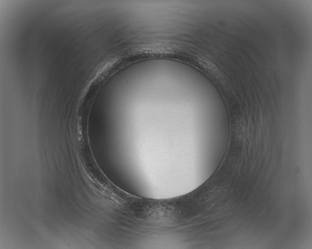 X0000062610731200601040938