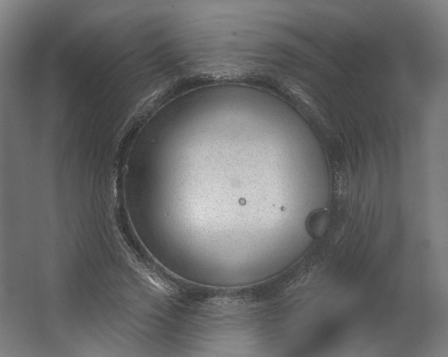 X0000062610733200601040938