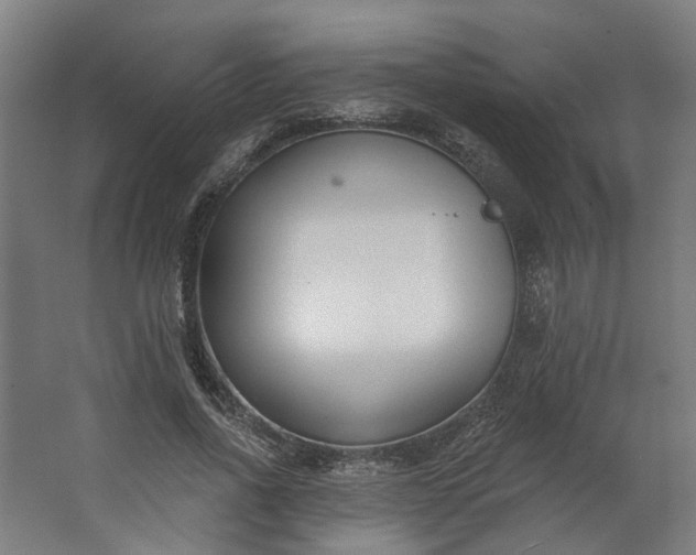 X0000062610734200601040938