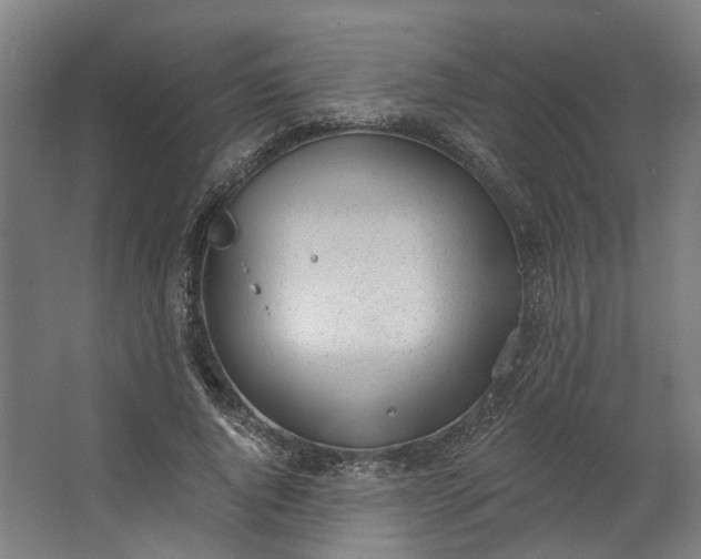 X0000062610736200601040938